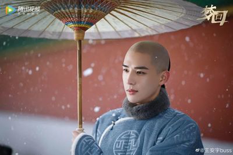 王安宇